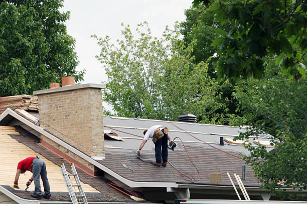 Best Metal Roofing Contractor  in Homer Glen, IL